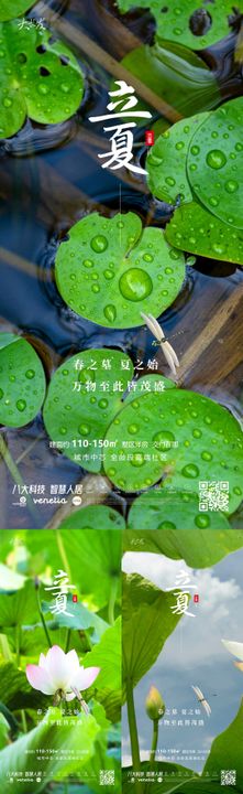 立夏节气海报系列荷叶荷花二十四
