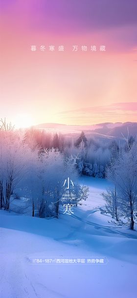 小寒小雪大雪海报