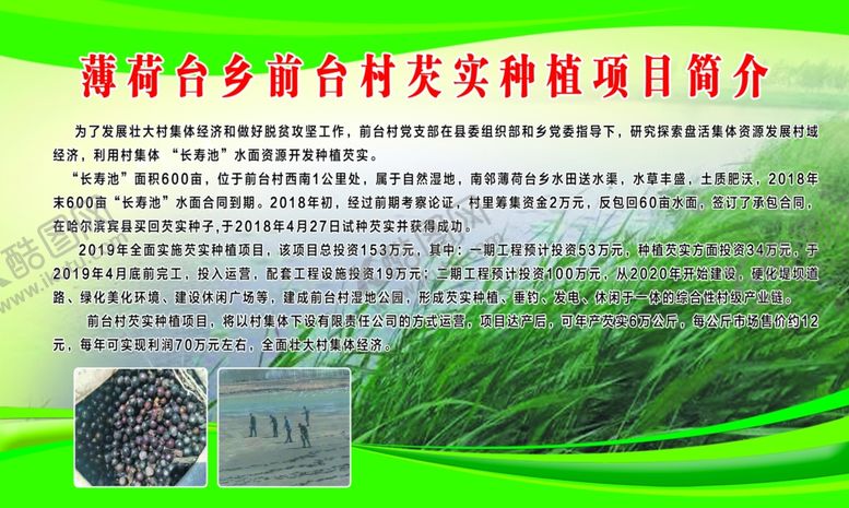 编号：21655607080653487145【酷图网】源文件下载-芡实