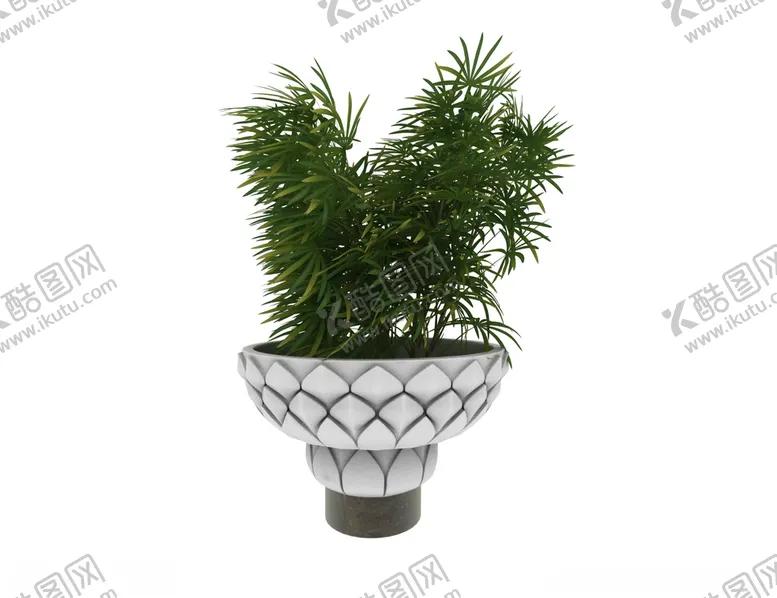 编号：51235504240217407696【酷图网】源文件下载-莲花台植物3d模型