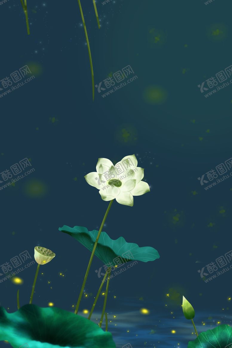 编号：44054307051844429426【酷图网】源文件下载-荷花