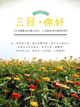 3月你好 春天海报 春暖花开 