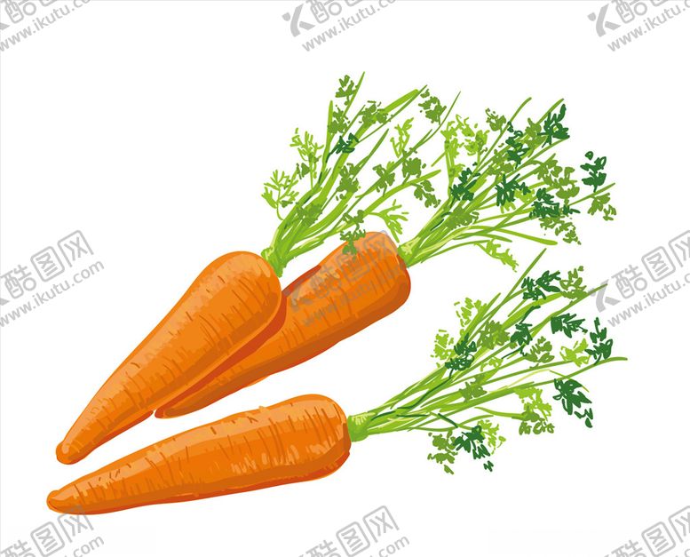编号：48795110201733326846【酷图网】源文件下载-红萝卜