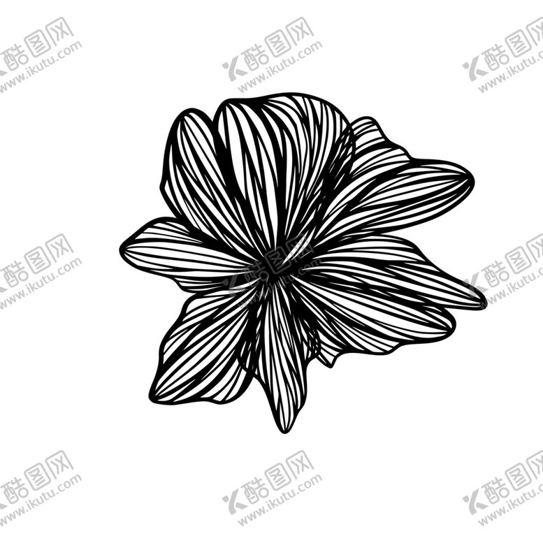编号：76814504080953369924【酷图网】源文件下载-手绘线性枝叶