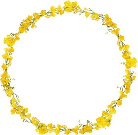 花边