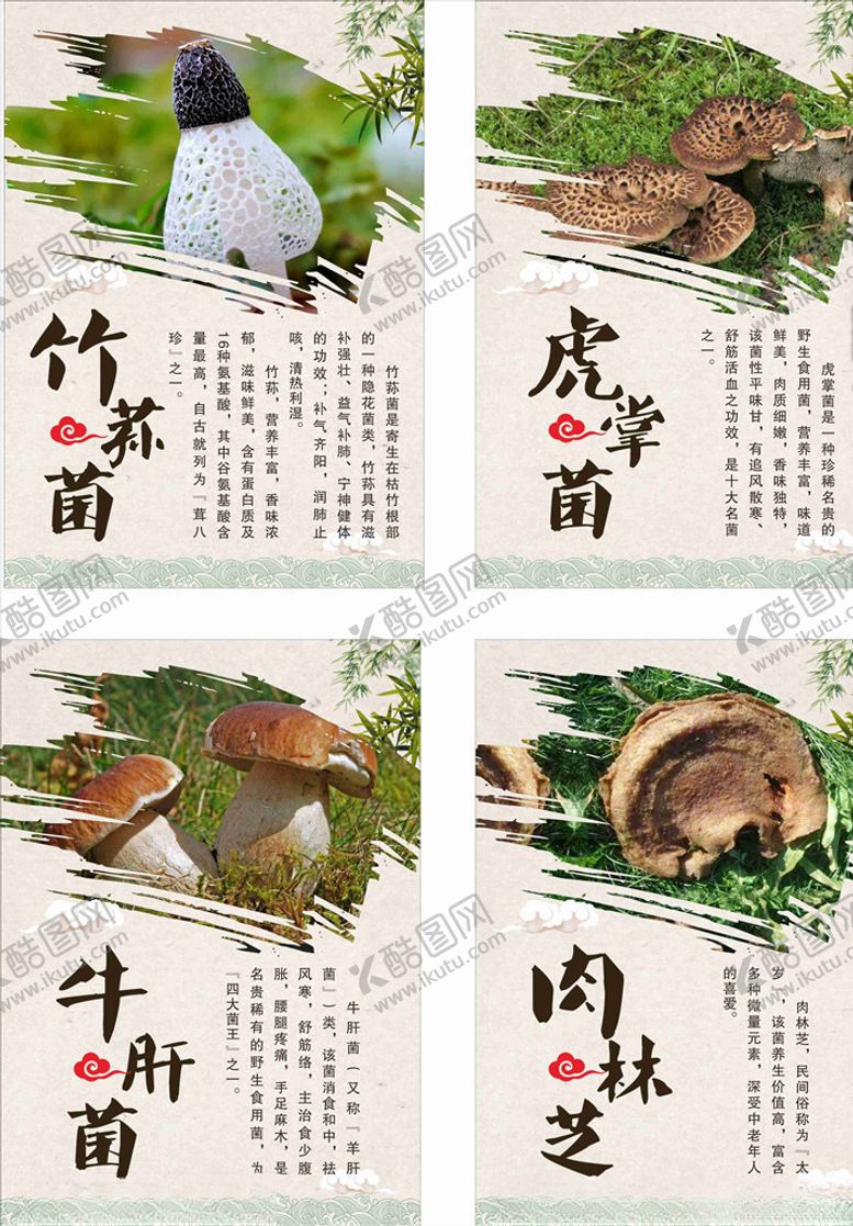 编号：99723509091739107756【酷图网】源文件下载-菌类