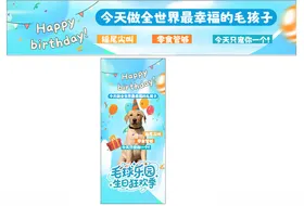 生日展架狗狗生日宠物生日