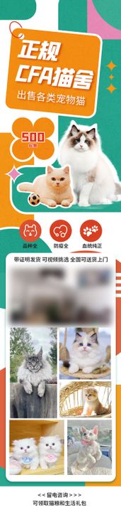 宠物猫咪长图海报