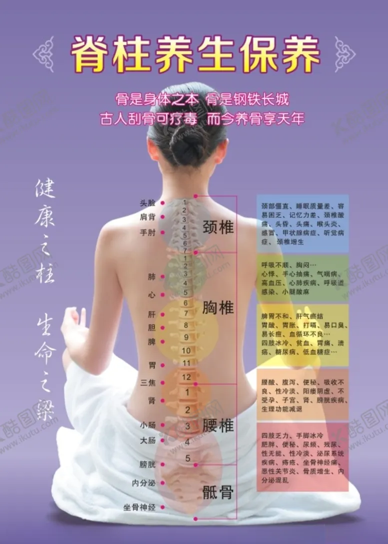 编号：60585503212102227172【酷图网】源文件下载-脊柱养生版面