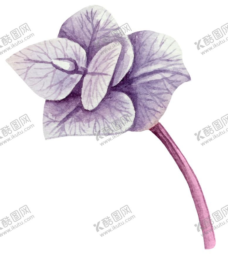 编号：75317410120803228952【酷图网】源文件下载-手绘植物