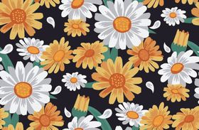 雏菊菊花向日葵