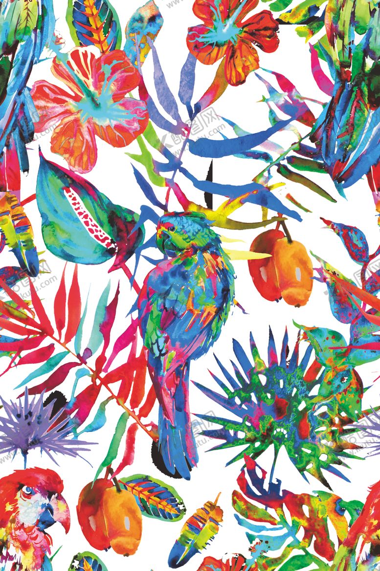 编号：17463709111031135164【酷图网】源文件下载-五彩鹦鹉
