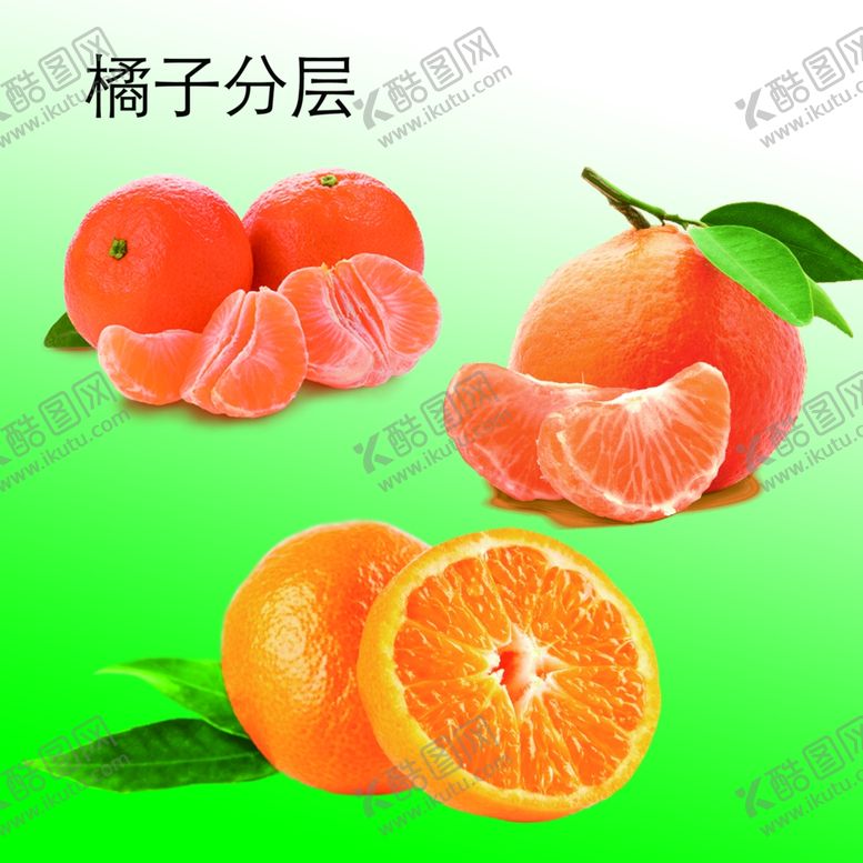 编号：50880305032229261126【酷图网】源文件下载-橘子