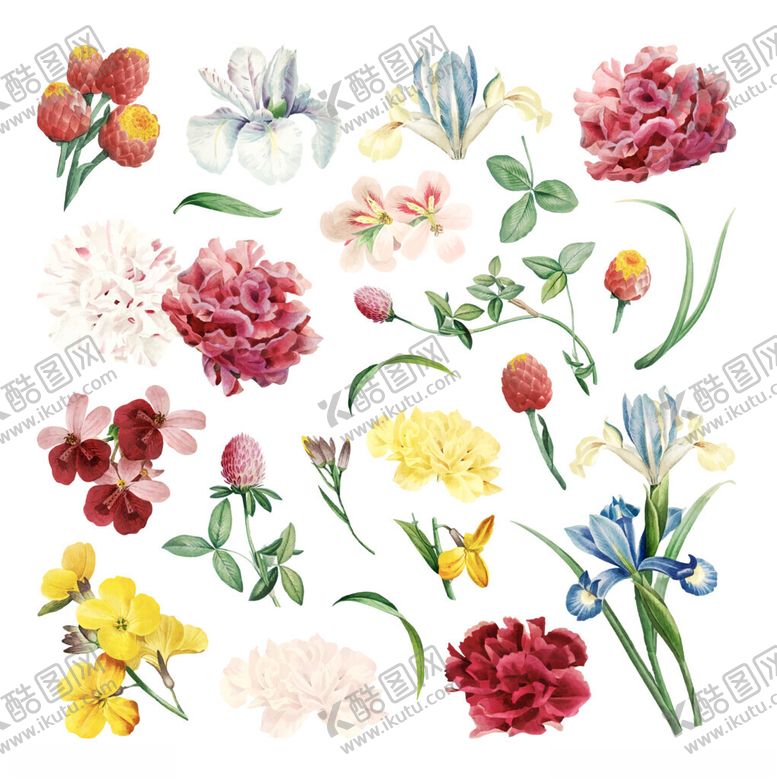 编号：16987904042240074511【酷图网】源文件下载-多彩花卉图案集合