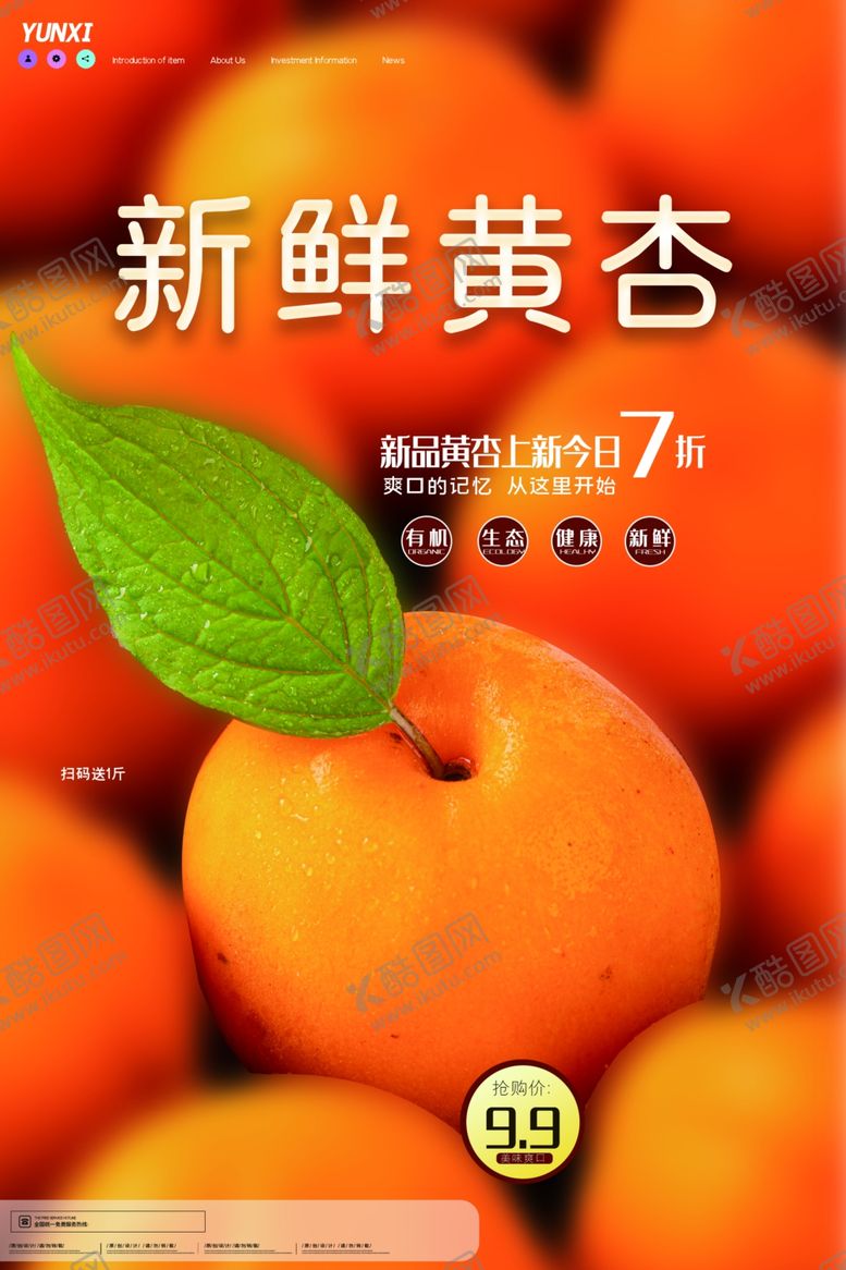 编号：93139307122000066686【酷图网】源文件下载-黄杏