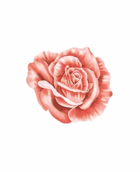 玫瑰花叶子小素材数码印