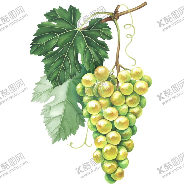 编号：87999307061007274180【酷图网】源文件下载-水果