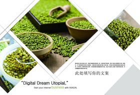 五谷杂粮海报谷物豆豆素材