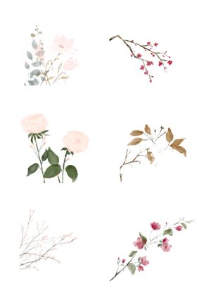 梅花素材