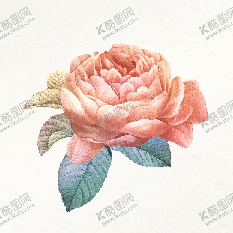 编号：07894609192207227098【酷图网】源文件下载-牡丹