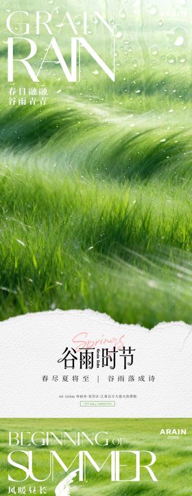 谷雨立夏水彩麦穗海报