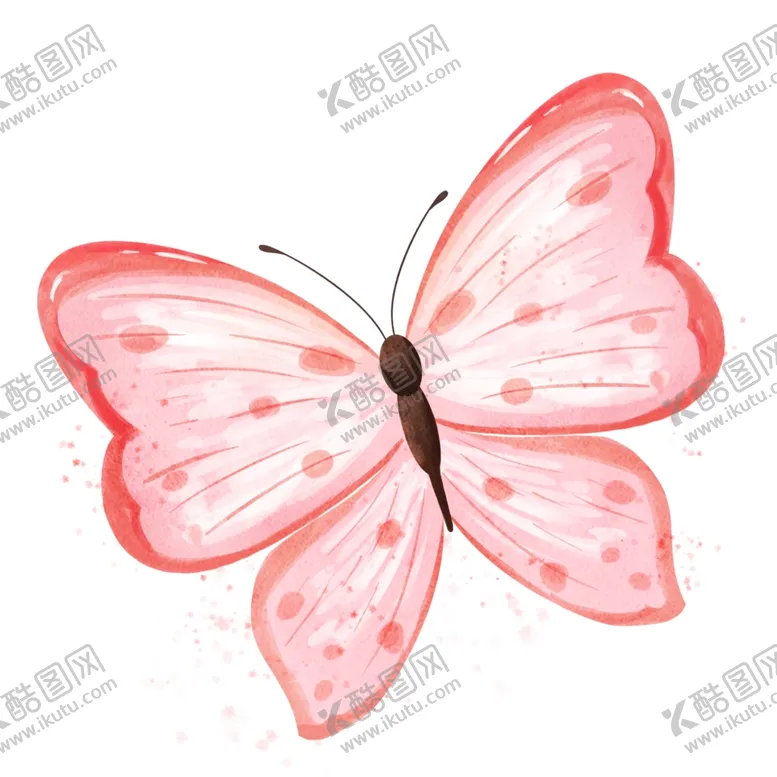 编号：28542801240340408803【酷图网】源文件下载-蝴蝶