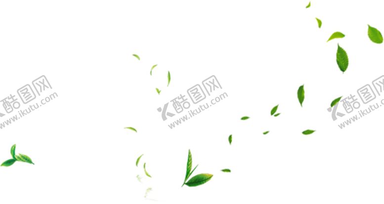 编号：51237009200157039186【酷图网】源文件下载-茶叶