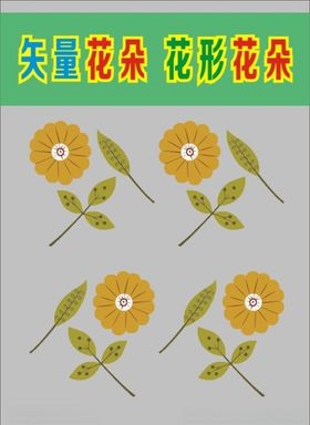 花朵花瓣树叶