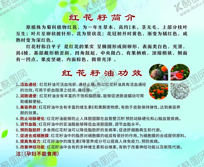 红花籽简介清新海报背景清新背景绍