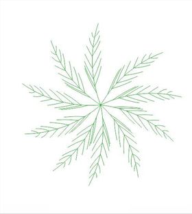 棕榈果素材