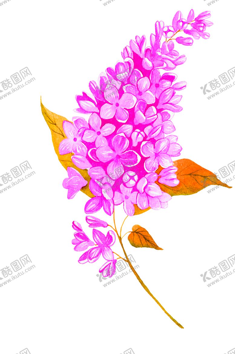 编号：49313805111928341659【酷图网】源文件下载-鲜花素材