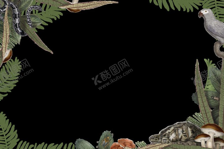 编号：91224010181611377143【酷图网】源文件下载-热带 鹦鹉 PNG 免抠图