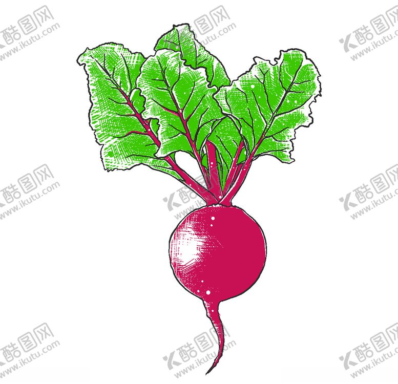 编号：21181009291351317567【酷图网】源文件下载-手绘蔬菜插画