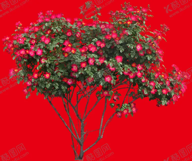 编号：29167707031123238838【酷图网】源文件下载-分层花