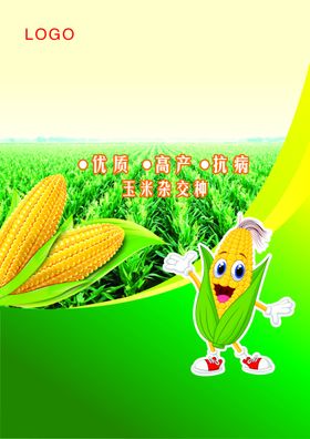 玉米种子