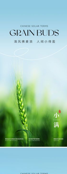 小满节气海报