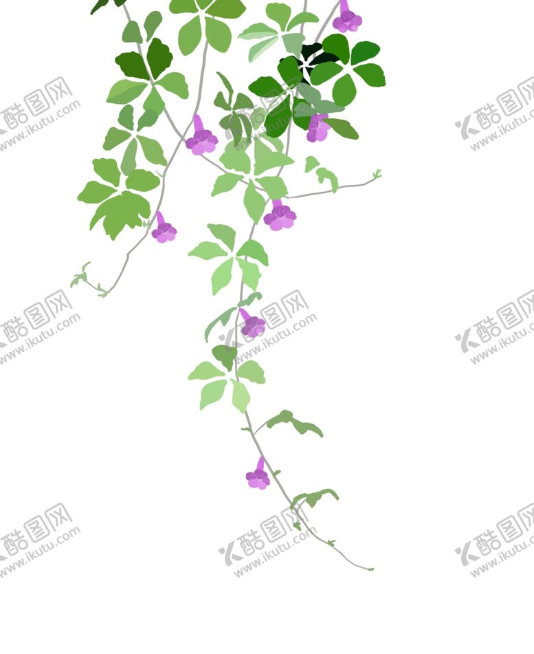 编号：77181109291813451019【酷图网】源文件下载-植物