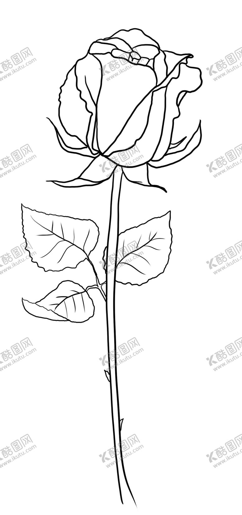编号：53743806191055213991【酷图网】源文件下载-玫瑰花