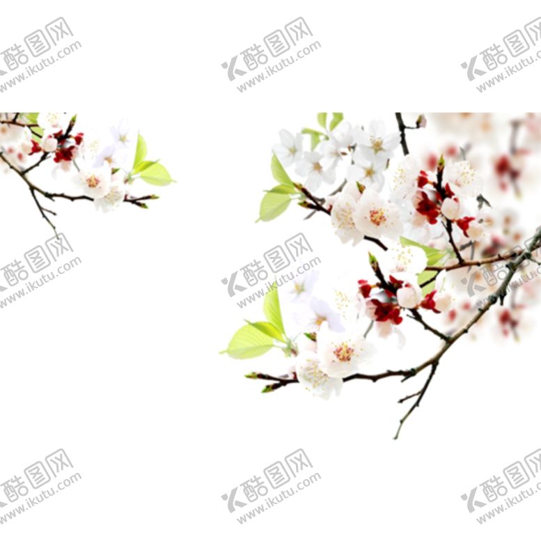 编号：75707305020341403829【酷图网】源文件下载-桃花