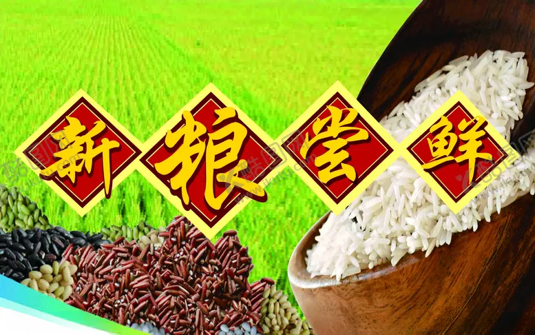 编号：39502005081112572840【酷图网】源文件下载-新粮尝鲜
