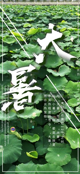 大暑荷花夏天图片处微信