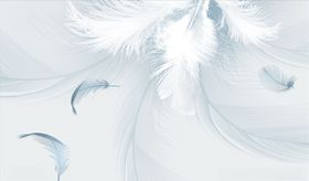 羽毛背景墙