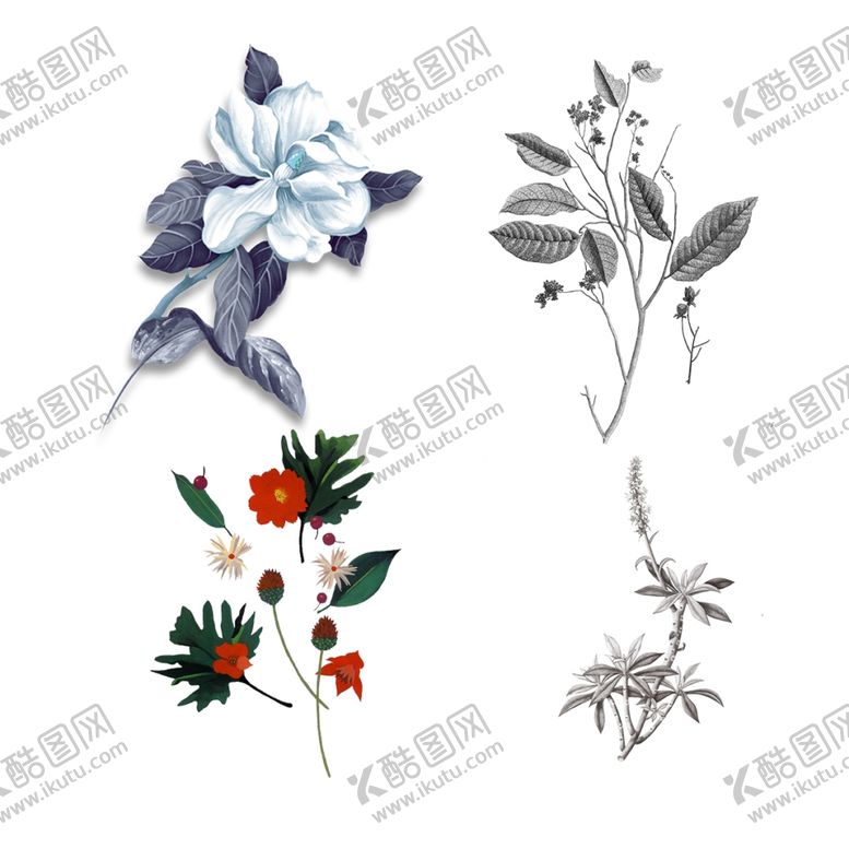编号：90472502061209285681【酷图网】源文件下载-鲜花