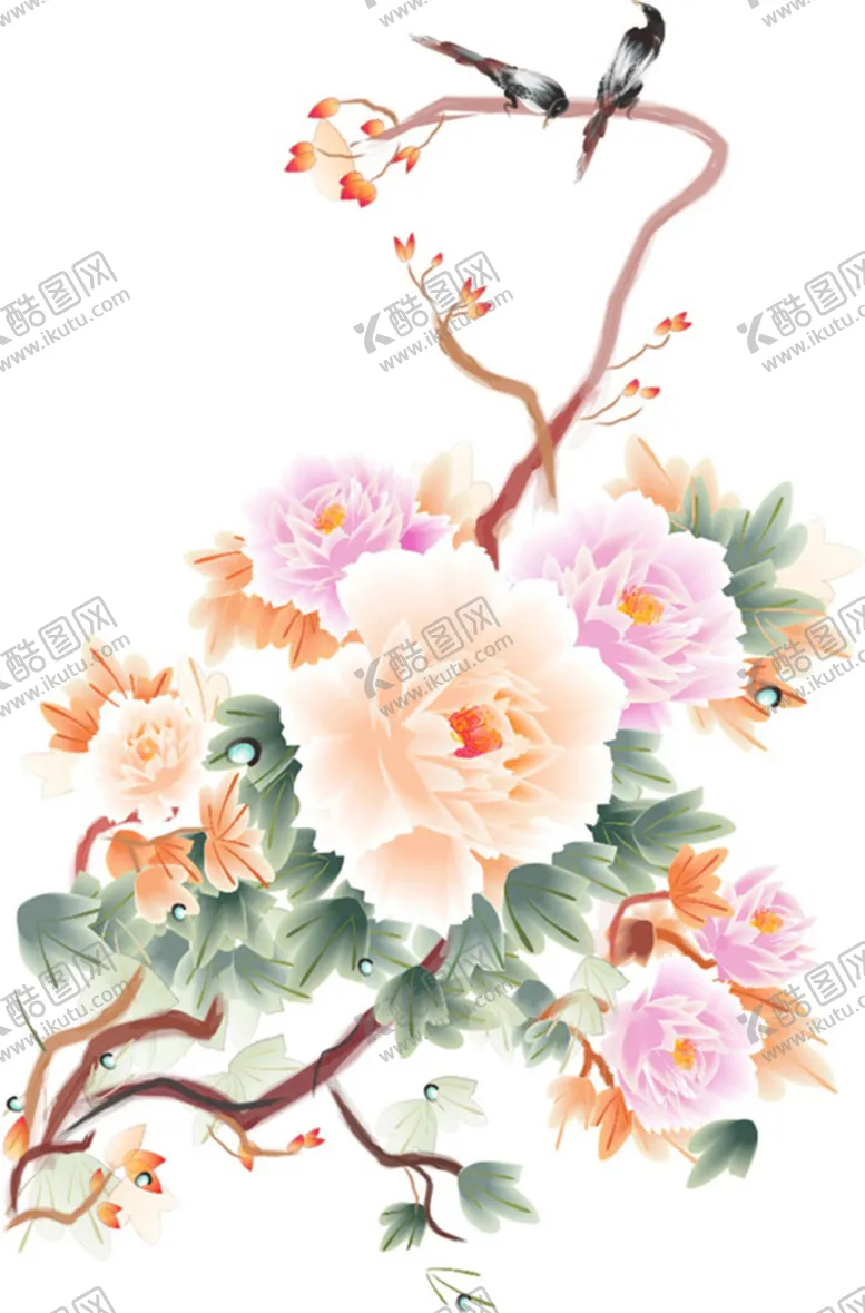 编号：62794806260303537166【酷图网】源文件下载-牡丹花