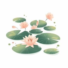 荷花素材清廉叶插画手绘叶手绘