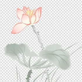 荷花莲花古典图片中国风元素夏至