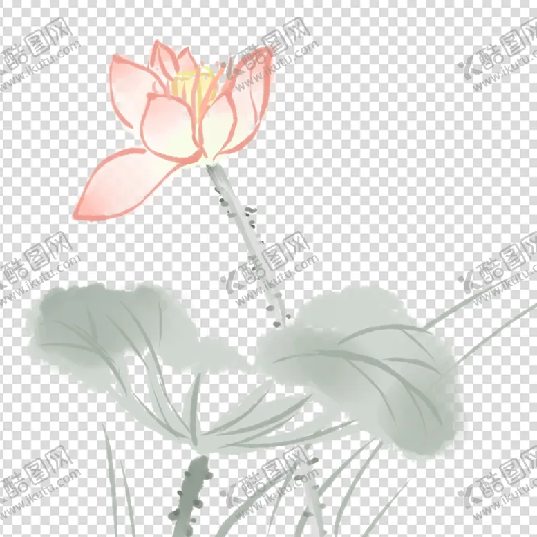 编号：53765912060500115597【酷图网】源文件下载-荷花 莲花 