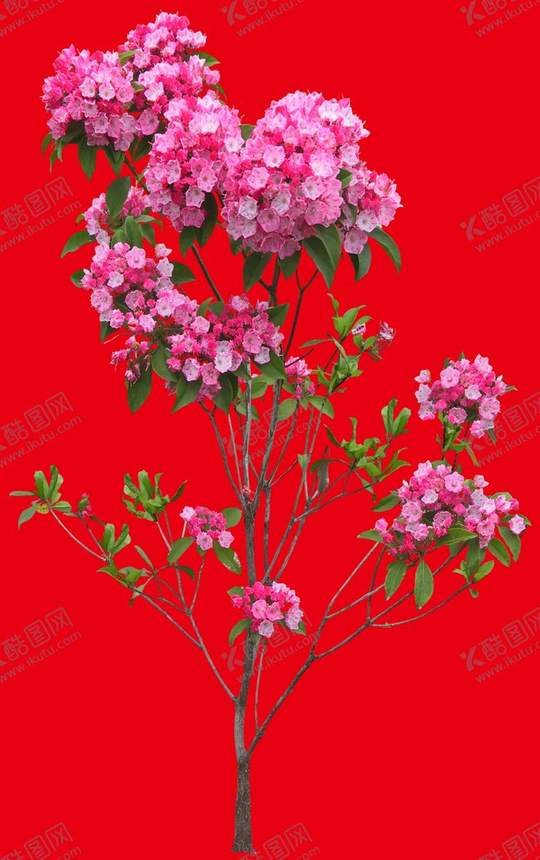 编号：26492207090321417390【酷图网】源文件下载-分层花