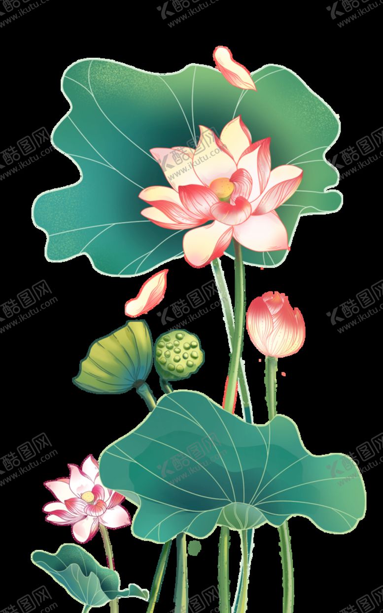 编号：93786409131050147851【酷图网】源文件下载-荷花