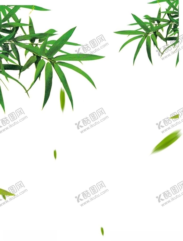 编号：24144607031547341120【酷图网】源文件下载-竹叶